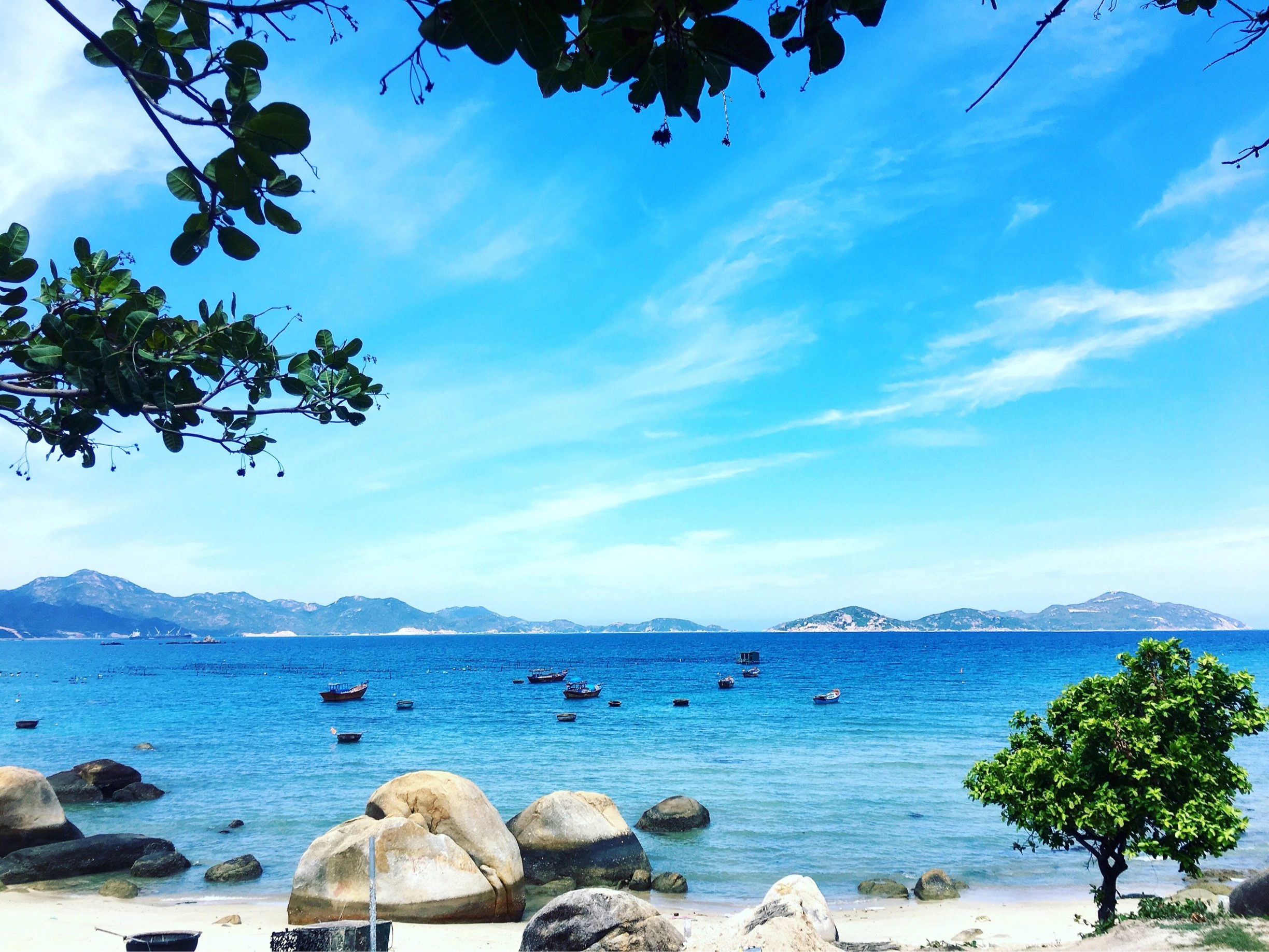 Biển pr