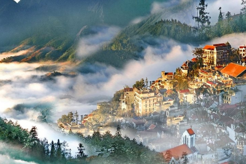 Sapa